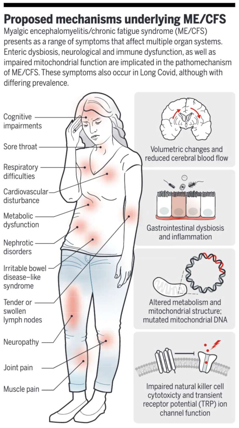 Understanding Chronic Fatigue Syndrome Myalgic Encephalomyelitis Daniel Lewis